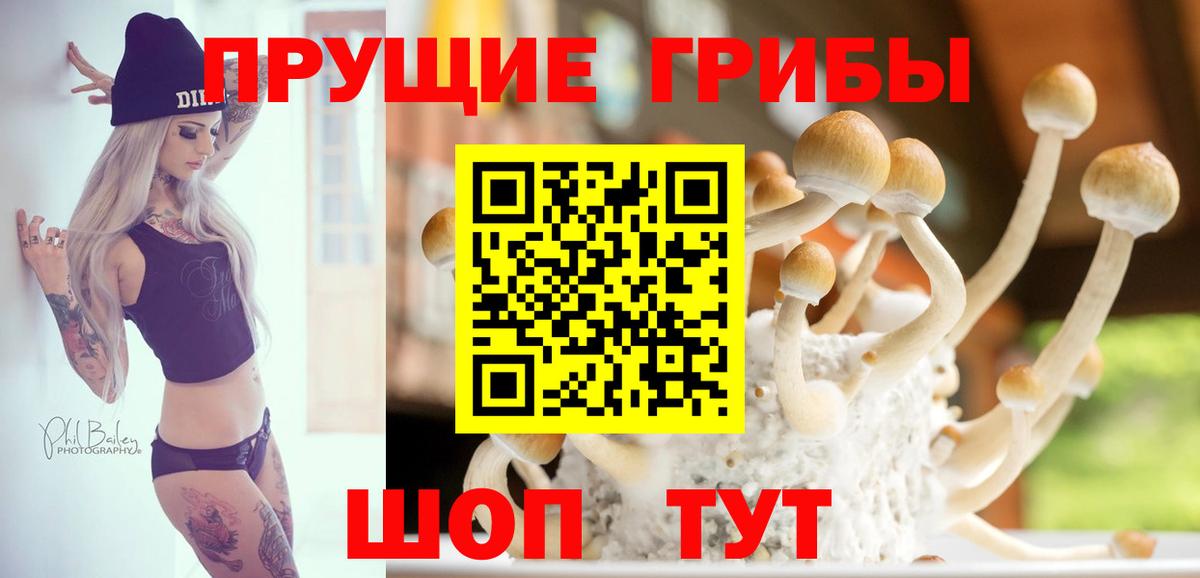 Галлюциногенные грибы Psilocybine cubensis Тельмана